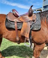 Original Larry Coats 14”