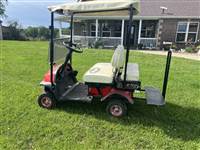 Cricket Golf Cart