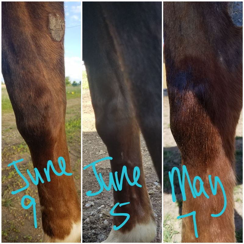 Viewing a thread Swollen knee