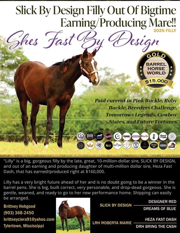 Gold Barrel Horse for sale