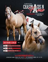   Sire - Chasin Aces N Fame