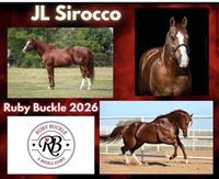 In Foal to JL Sirocco