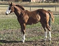 Her 2025 Eddie Stinson