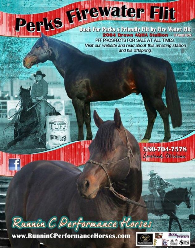 Perks Firewater Flit Barrel Horse World