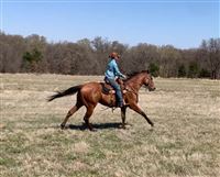 Loping across the field 