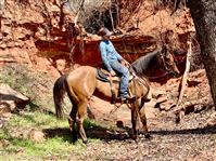 Down in the canyon