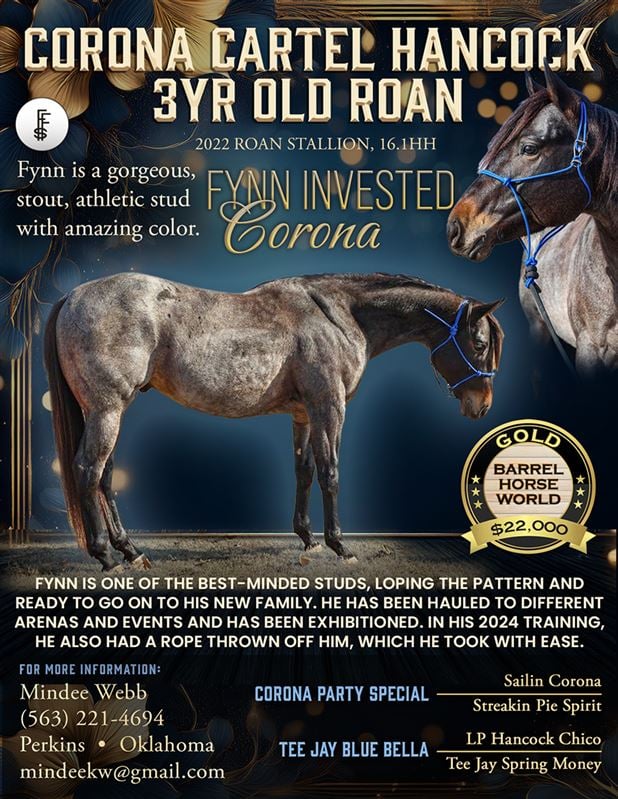 Gold Barrel Horse for sale