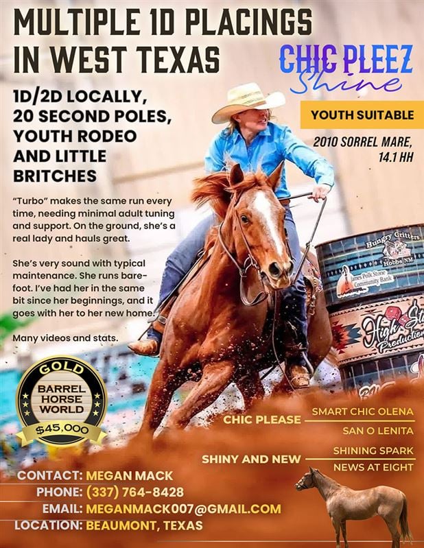 Gold Barrel Horse for sale