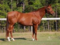 Shezafirenbully, pictured at 20 yo