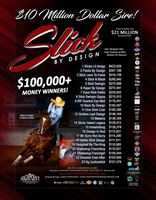 Slicks Lil Amigo is out of a BB mare!