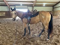 Slick By Design Colt