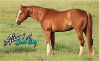 Sire
