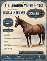 Select Year  year old Mare
