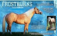 DAM'S SIRE FROSTBURNS