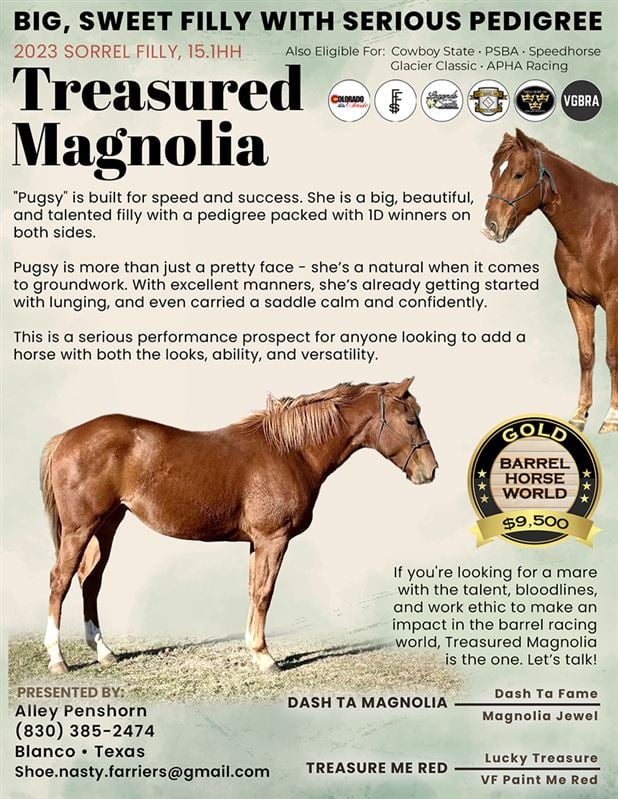 Gold Barrel Horse for sale