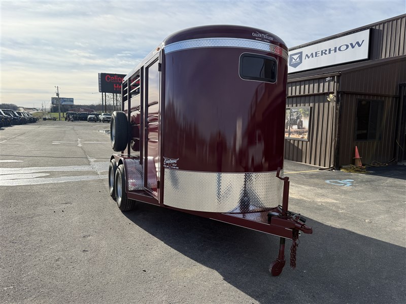 2026 Calico two horse bumper pull trailer