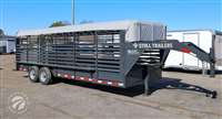 2026  horse Stoll 