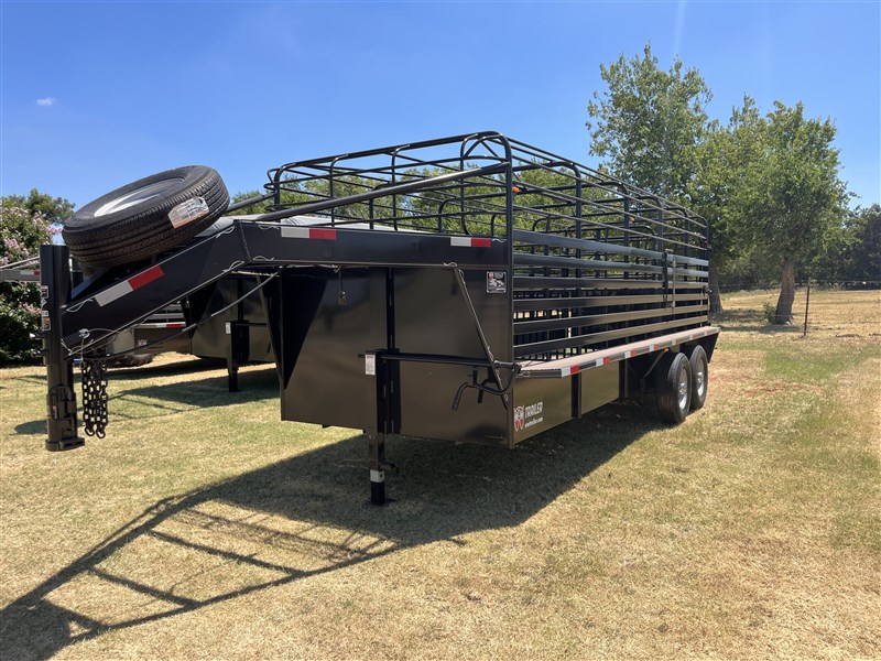 2022 WW ROUSTABOUT 20'X6'8