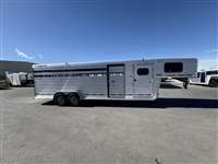 2026 Stock horse Logan Bullseye 