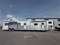 2017 Stock horse Logan 