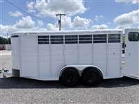 2026 Stock horse Calico Show Express