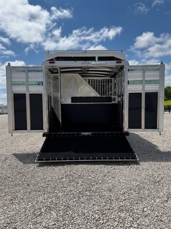 2025 Platinum Coach 7h trainers polo load
