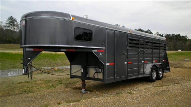 2008 WW Stockmans Dream