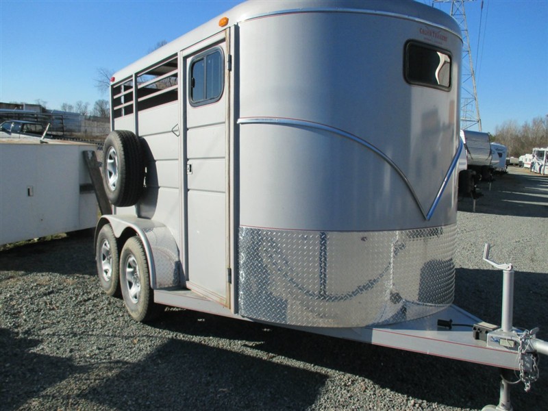2014 calico 2 horse