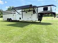 2026 Stock horse Bison Trail Hand 71016