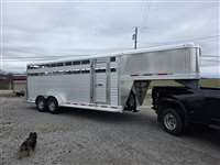 2026 Stock horse Adam JGA-207