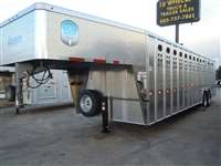 2026 Miniature horse Merritt CATTLE BARON - 8X28