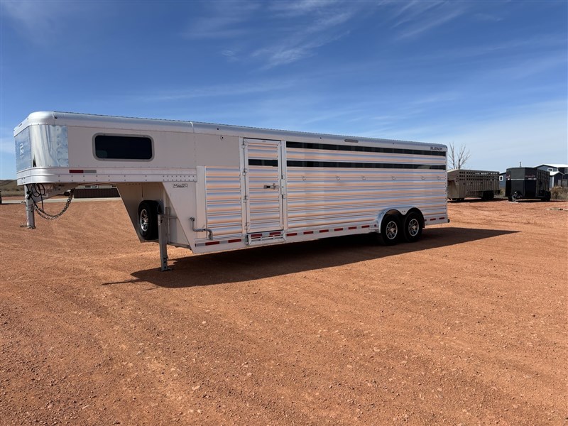 2026 Platinum Coach 5/6 horse