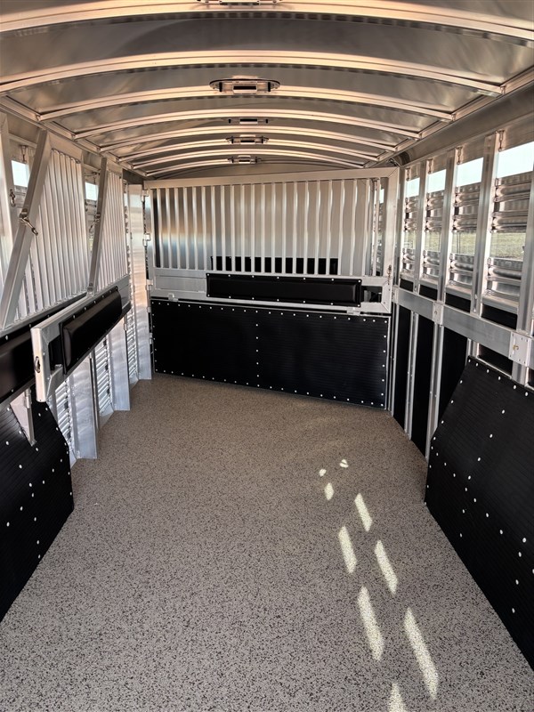 2026 Platinum Coach 5/6 horse