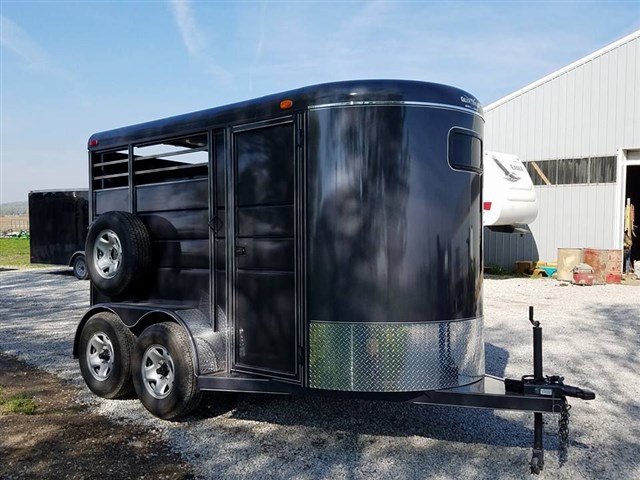 2017 Calico 2H Slant C2HSL