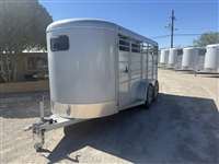 2021 3 horse Calico  3-Horse BP