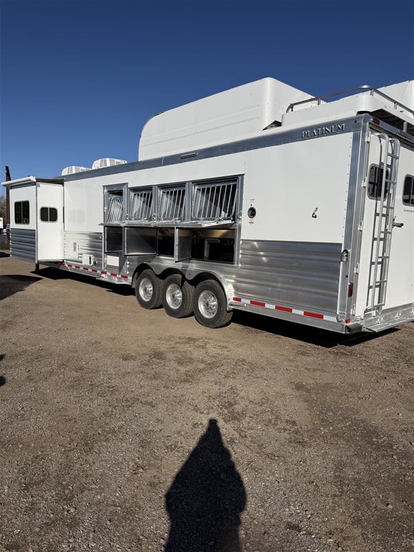 2026 Platinum Coach 4 horse side load