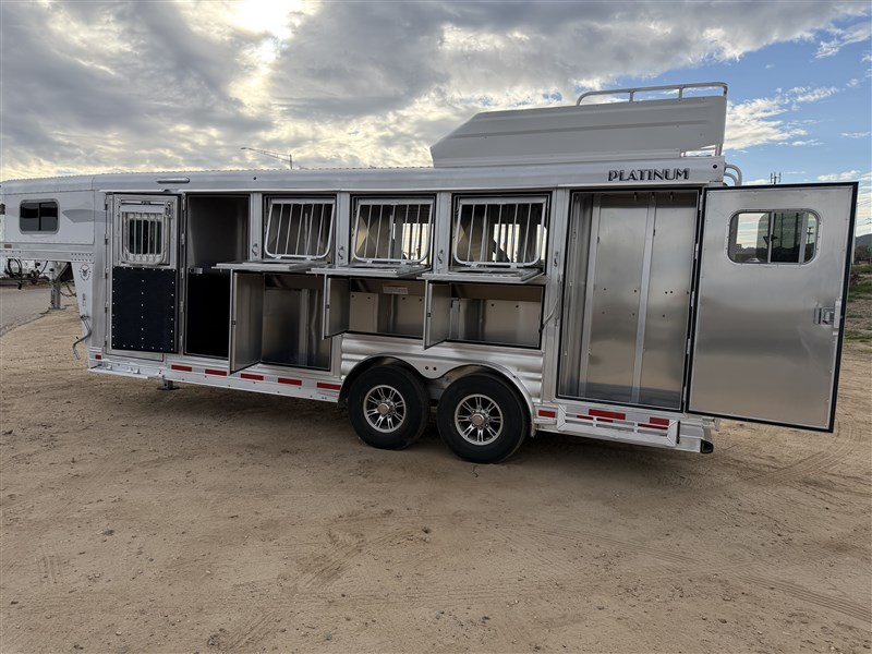 2026 Platinum Coach 4 horse w/trainer tack