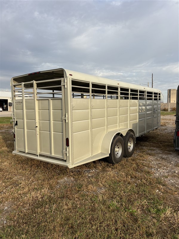 2026 Calico stock