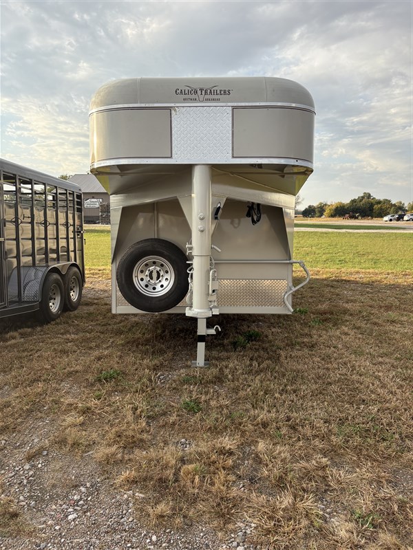 2026 Calico stock