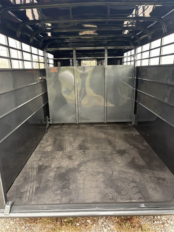 2026 Calico stock