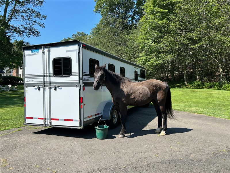 2010 Hawk #122 3 horse slant custom with dressing room