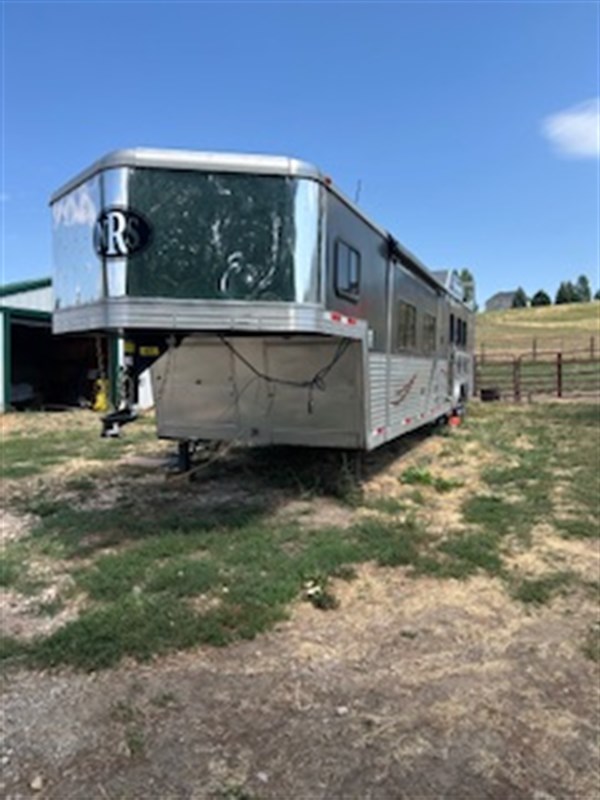 2013  Bison