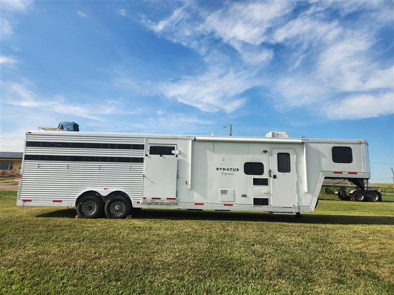 2013 Bison stratus