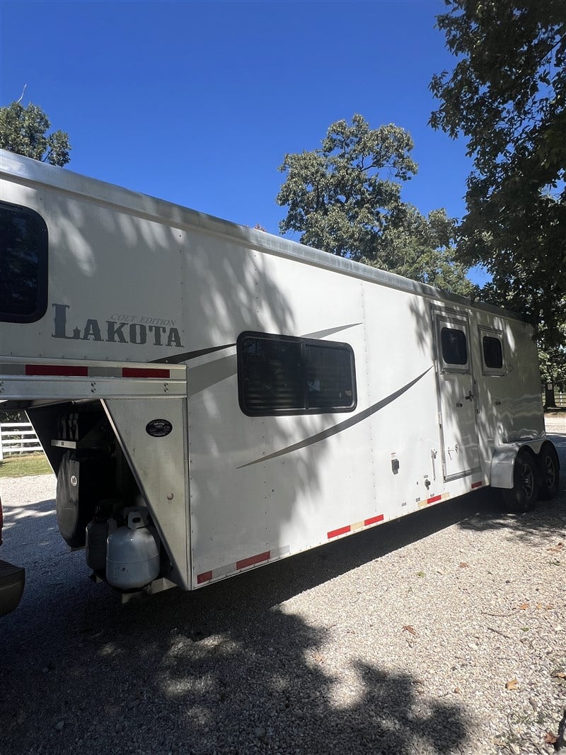 2019 Lakota colt