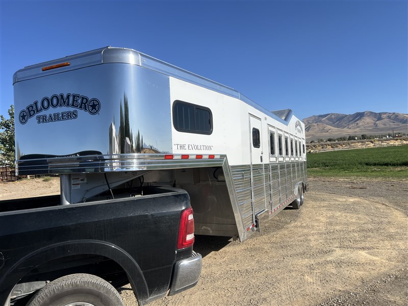 2019  Bloomer