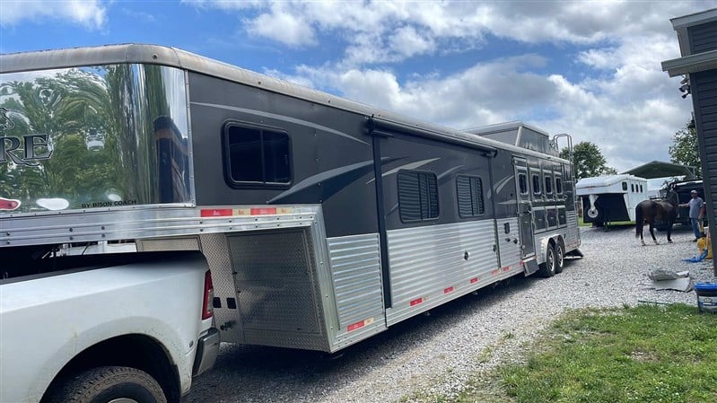 2019  Bison
