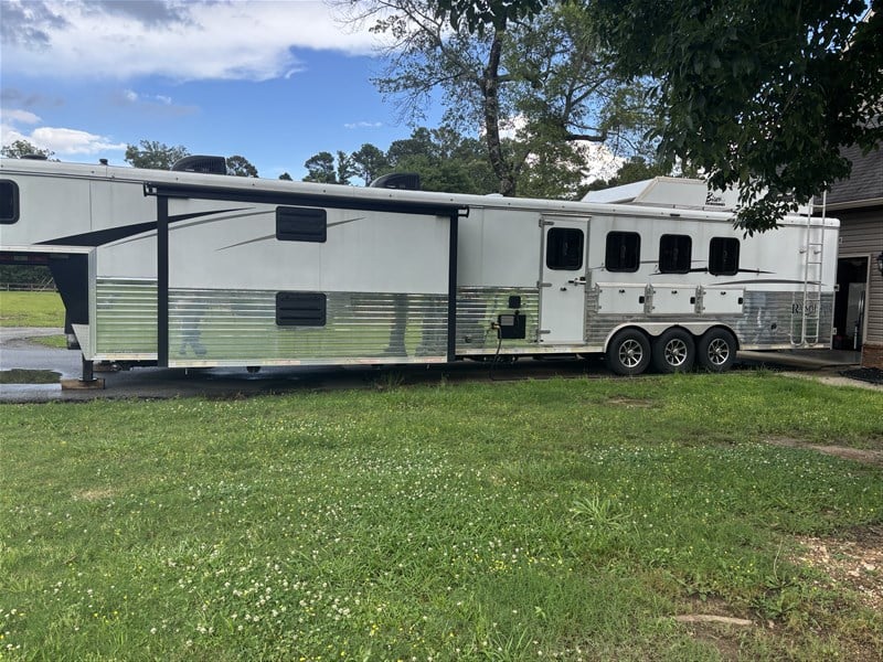 2019  Bison