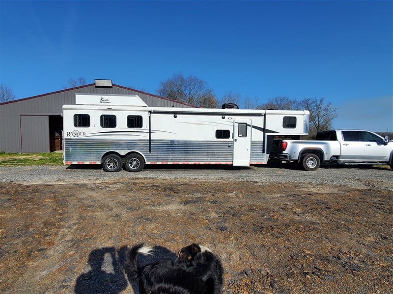 2018  Bison