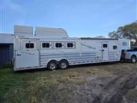 2017 4 horse Platinum 