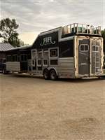 2014 Stock horse Platinum 